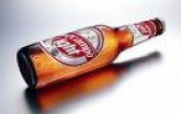 PRMOCIONES CRUZCAMPO LIGH