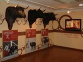 Visita guiada al Museo Taurino